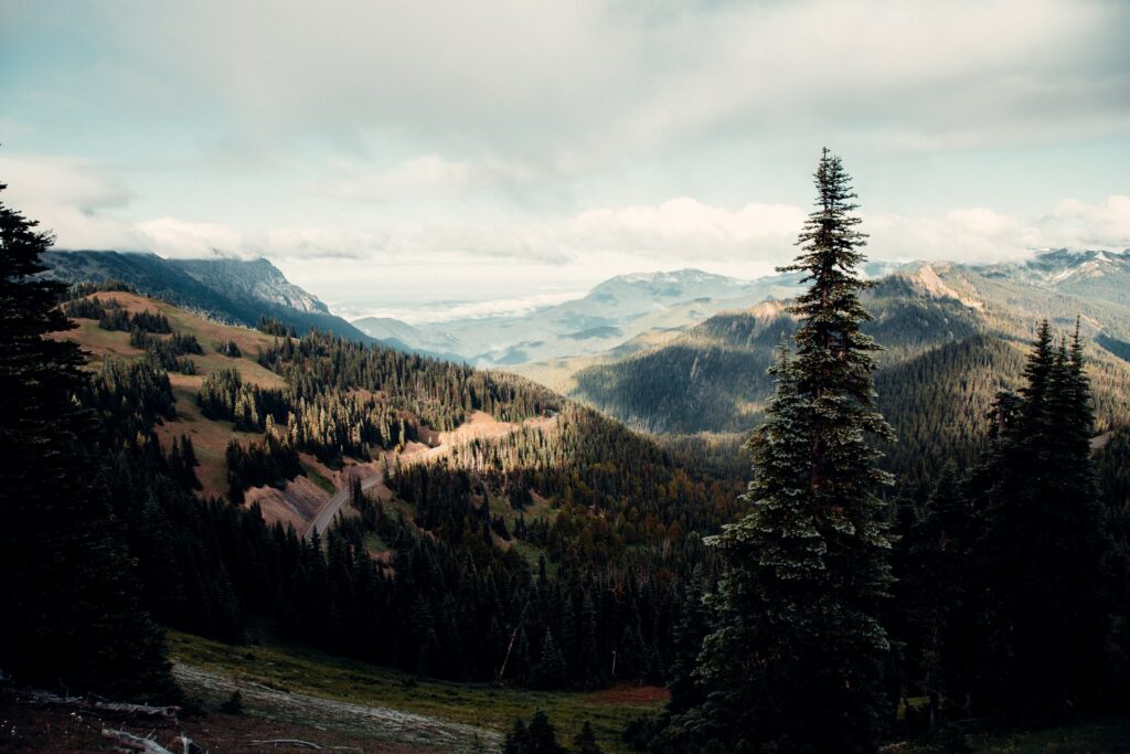 Olympic National Park, Washington